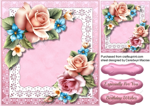 Beautiful Spring Roses and Scalloped Lace 