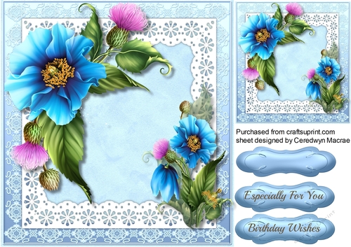Beautiful Himalayan Poppies on scalloped lace 