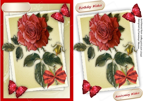 Beautiful Red Roses and Butterflys 