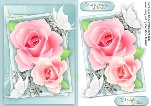 Beautiful pink roses and White Butterflys 