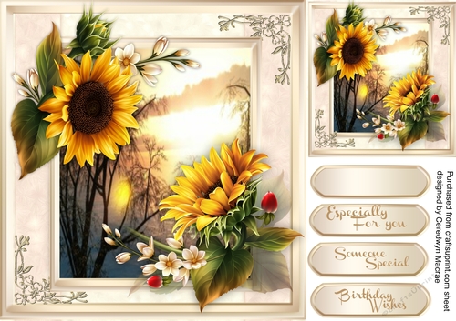 Beautiful Sunflowers at Sunset 