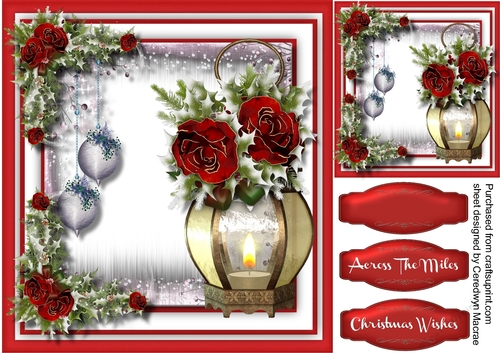 Beautiful Lantern and Christmas Roses 
