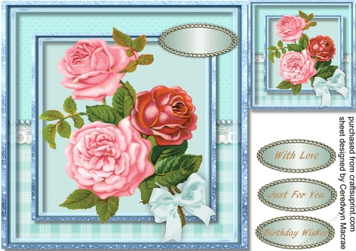 Beautiful Roses on Aqua Frame  1