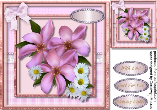 Beautiful Daisys in Pink Frame 2