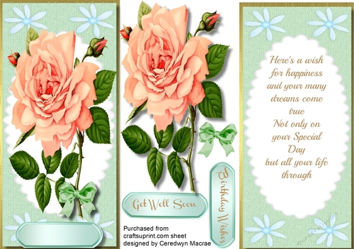 Lovely D.L with Peach Rose and Verse ,