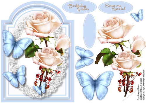 Beautiful Cream roses and blue Butterflys 