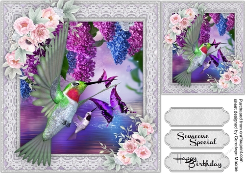 Beautiful Humming Bird and Pink Roses 