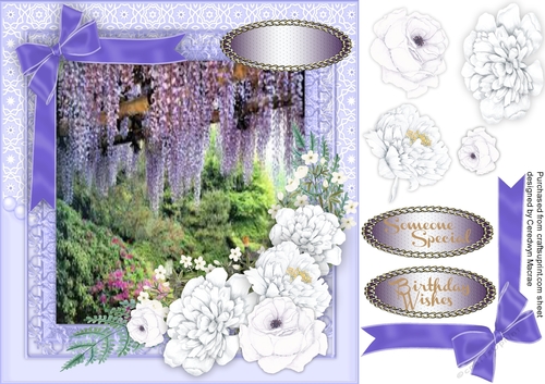 Beautiful White Roses on lilac Frame 