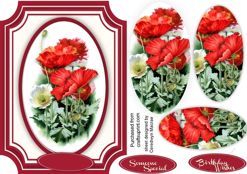 Beautiful Poppies in a Oval Frame 