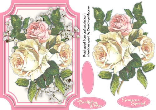 Lovely Pink and Craem Roses on Babys  Breath