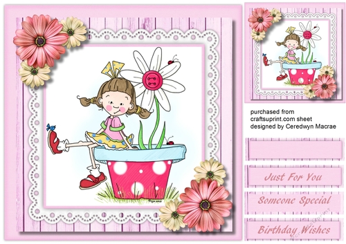 Pollys Pink Flowers 