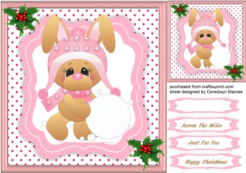 Lovely pink Snow Bunny 