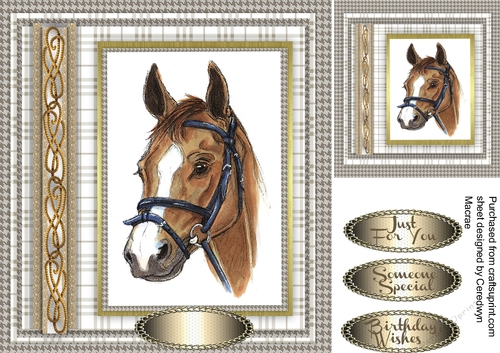 Beautiful Horse head with Entwined Rope 