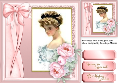 Beautiful Pink roses and Vintage Lady
