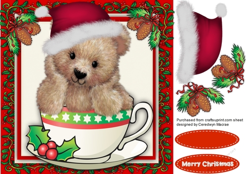 Fuzzy Bear in his Christmas Cup