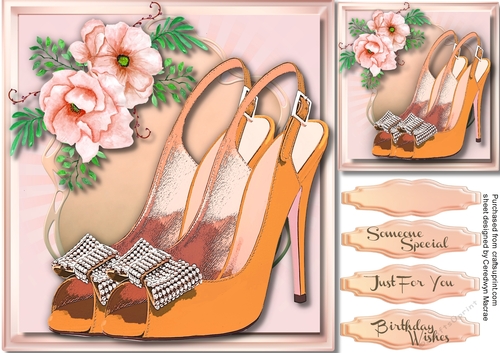 Stunning Shoes and Diamond Bow with Peach Roses 