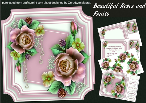 8x8 mini kit Fruits and Roses 