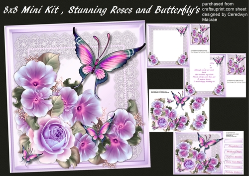 Stunning Lilac  Roses and Butterflys 