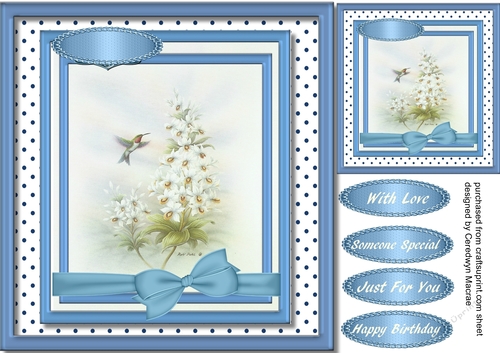 Beautiful Humming Bird and Flowers 