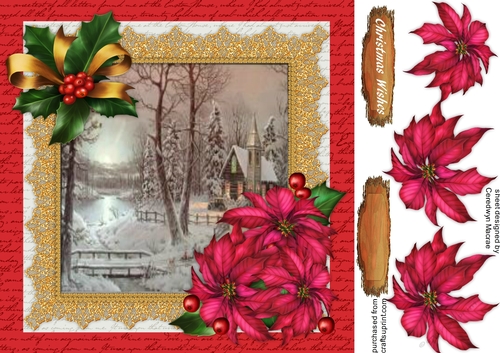 Beautiful Chrisrtmas Scene and Poinbsettias 