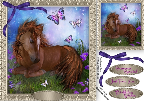 Beautiful Sheltland Pony and Butterflys 