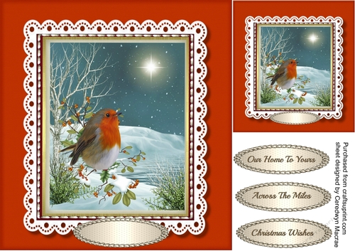 Robin On The Branch 
