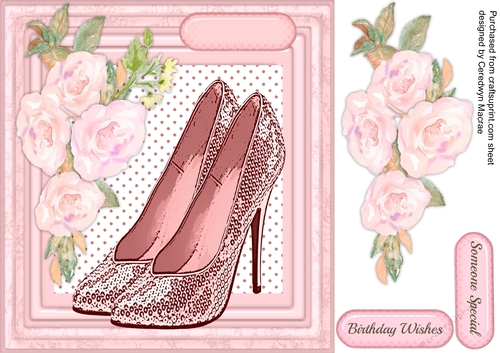 Beautiful Pink Shoes and Roses 