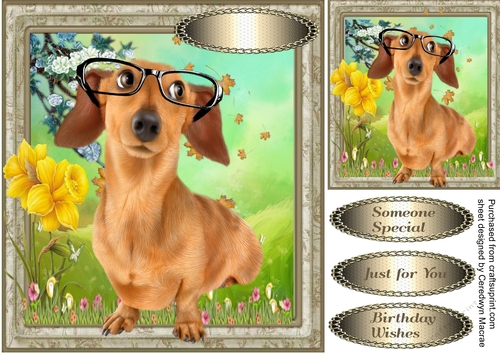I am a Very Intelligent Dog 