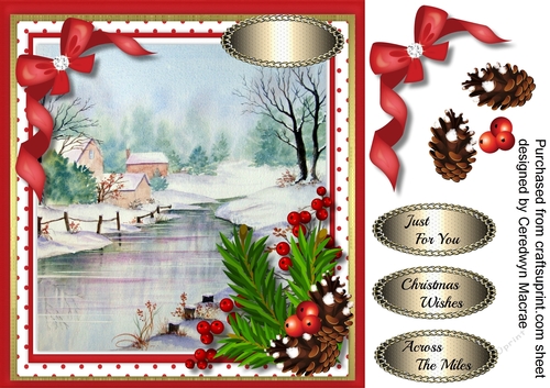 Beautiful Snowscene and Berrys 