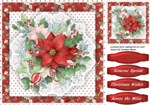 Beautiful Christmas Poinsettia on a lace mat 