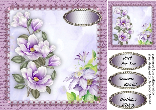 Beautiful Lilac Magnolias in Ornate Frame 