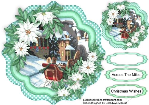 Beautiful christmas Bracket and White Poinsettias, 
