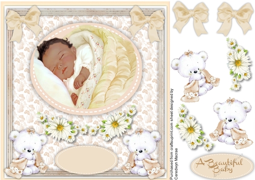 A Beautiful Baby in Natural Colours 