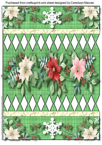 Beautiful Green Christmads Cracker 2