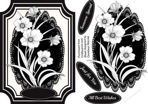 Beautiful Monocrome Flowers on Black Lace 