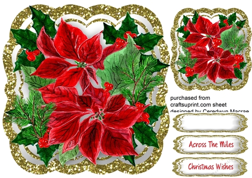 Beautiful Poinsettias omn a Glittered Mat