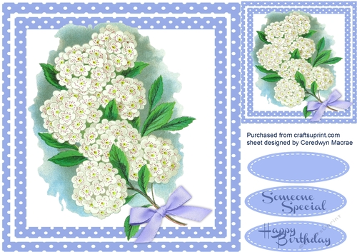 Beautiful Pom Pom Flowers 