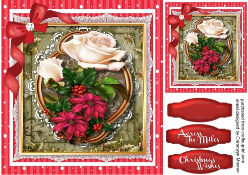 Beautiful Christmas Poinsetias on lace 