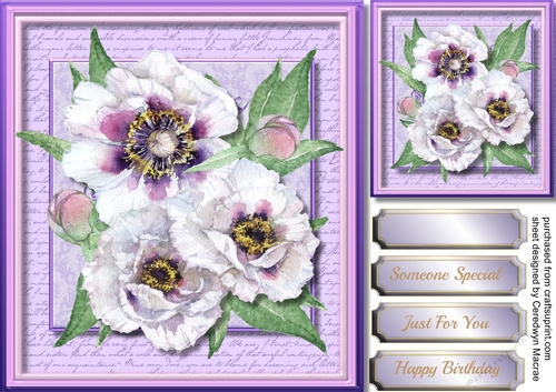 Stunning Lilac and White Peonies 