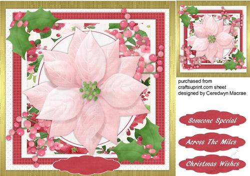 Lovely Pink Poinsettia and Holly 