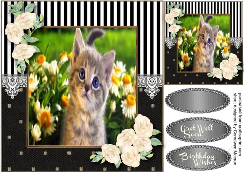 lovely Little Kitty in the Flowers 