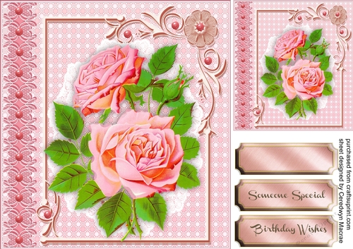 Beautiful pink Roses on White Lace 