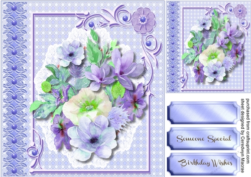 Beautiful painted roses on white lace 