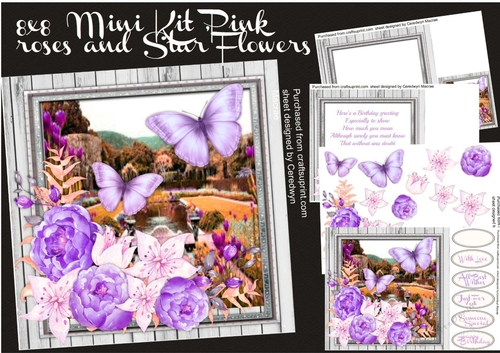 8x8 Mini Kit Pink roses and Star Flowers 