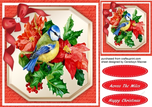 Lovely Blue Bird on Poinsetias 