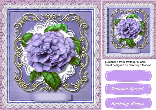 Beautiful Llilacroses on a lace Frame 