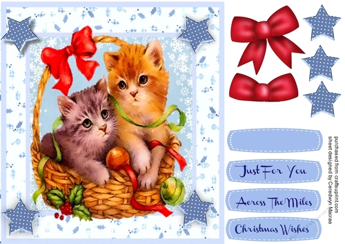 A Basket Of Mischevious Kittys 