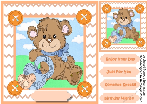 Little Bear and His Dunny 