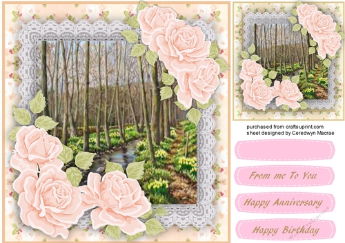 Beautiful pink roses at Dafodill Stream 