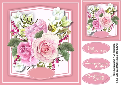 Beautiful Pink roses and Blossom 